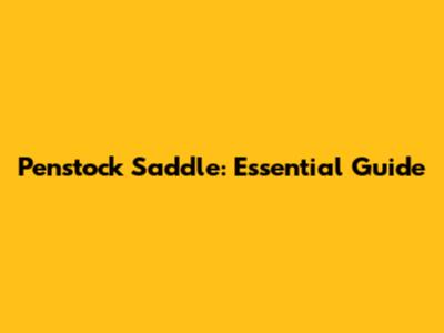 Penstock Saddle: Essential Guide