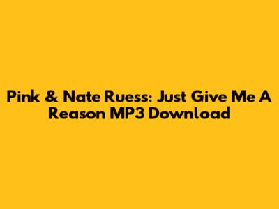 Pink & Nate Ruess: Just Give Me A Reason MP3 Download