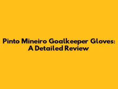 Pinto Mineiro Goalkeeper Gloves: A Detailed Review