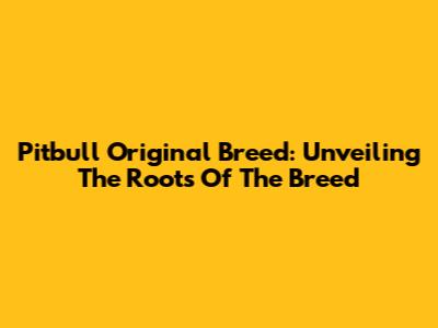 Pitbull Original Breed: Unveiling The Roots Of The Breed