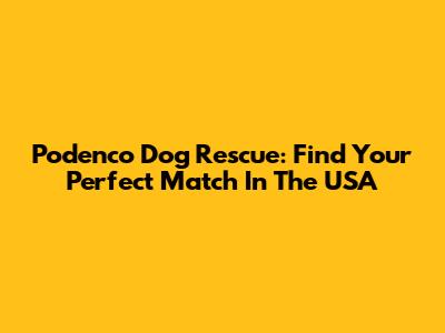 Podenco Dog Rescue: Find Your Perfect Match In The USA