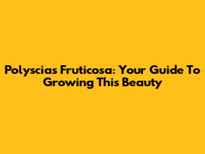 Polyscias Fruticosa: Your Guide To Growing This Beauty