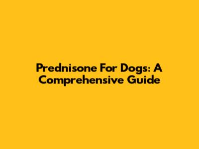 Prednisone For Dogs: A Comprehensive Guide