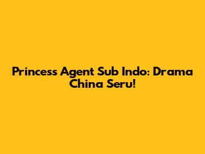 Princess Agent Sub Indo: Drama China Seru!