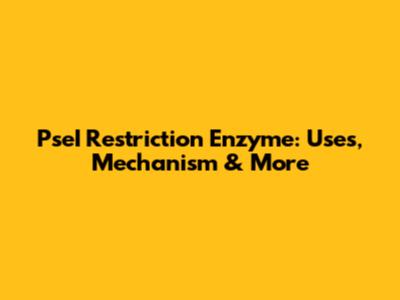 PseI Restriction Enzyme: Uses, Mechanism & More