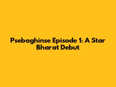 Psebaghinse Episode 1: A Star Bharat Debut