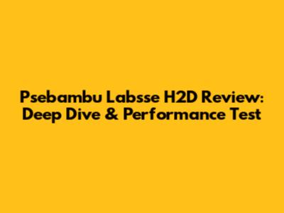 Psebambu Labsse H2D Review: Deep Dive & Performance Test