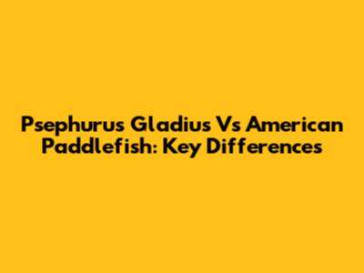 Psephurus Gladius Vs American Paddlefish: Key Differences