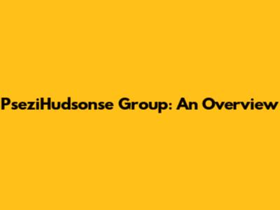 PseziHudsonse Group: An Overview