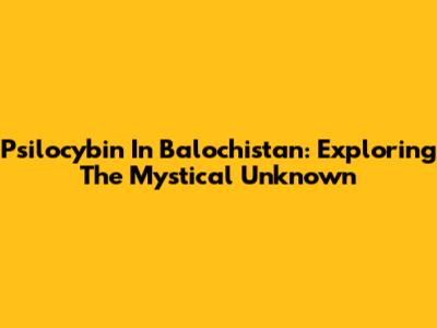Psilocybin In Balochistan: Exploring The Mystical Unknown