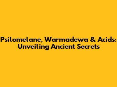 Psilomelane, Warmadewa & Acids: Unveiling Ancient Secrets