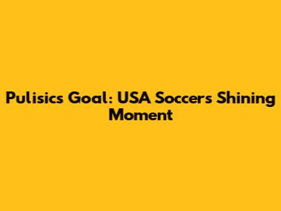 Pulisic's Goal: USA Soccer's Shining Moment