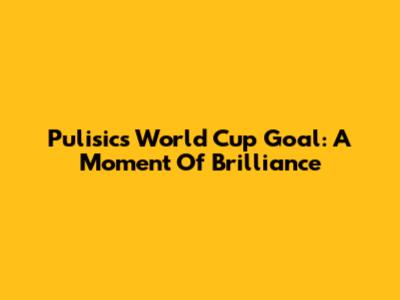 Pulisic's World Cup Goal: A Moment Of Brilliance
