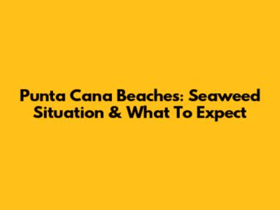 Punta Cana Beaches: Seaweed Situation & What To Expect