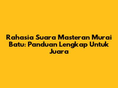 Rahasia Suara Masteran Murai Batu: Panduan Lengkap Untuk Juara