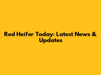 Red Heifer Today: Latest News & Updates