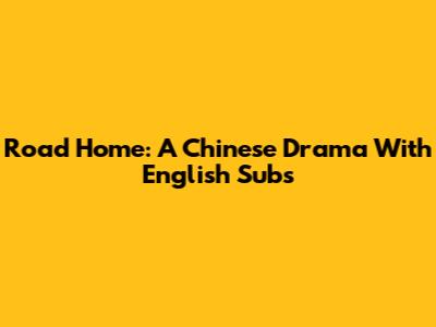 Road Home: A Chinese Drama With English Subs