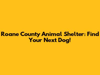 Roane County Animal Shelter: Find Your Next Dog!