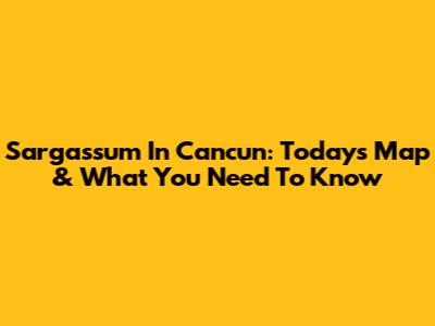 Sargassum In Cancun: Today's Map & What You Need To Know