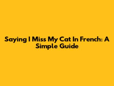 Saying 'I Miss My Cat' In French: A Simple Guide