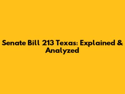 Senate Bill 213 Texas: Explained & Analyzed