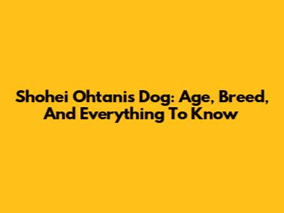 Shohei Ohtani's Dog: Age, Breed, And Everything To Know
