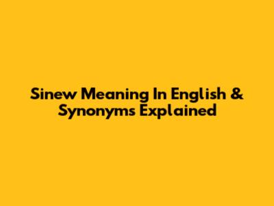 Sinew Meaning In English & Synonyms Explained
