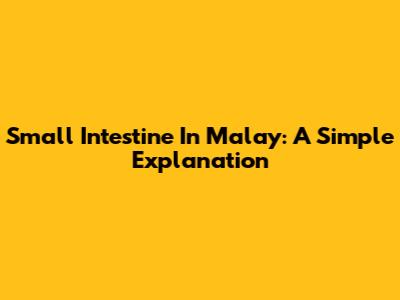 Small Intestine In Malay: A Simple Explanation