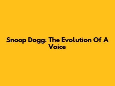 Snoop Dogg: The Evolution Of A Voice