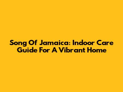 Song Of Jamaica: Indoor Care Guide For A Vibrant Home