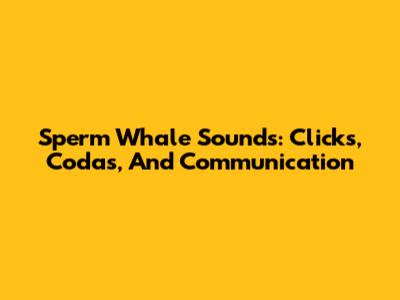 Sperm Whale Sounds: Clicks, Codas, And Communication
