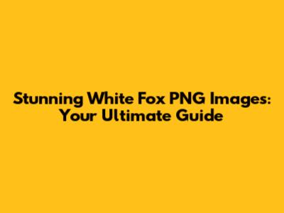 Stunning White Fox PNG Images: Your Ultimate Guide