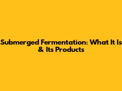 Submerged Fermentation: What It Is & Its Products