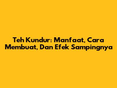 Teh Kundur: Manfaat, Cara Membuat, Dan Efek Sampingnya