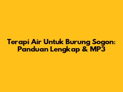 Terapi Air Untuk Burung Sogon: Panduan Lengkap & MP3