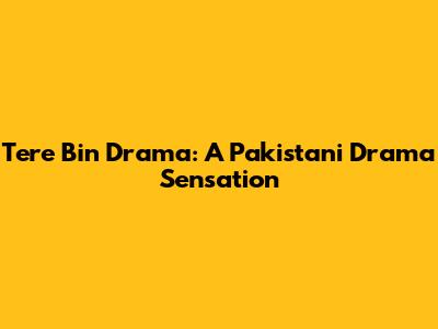 Tere Bin Drama: A Pakistani Drama Sensation