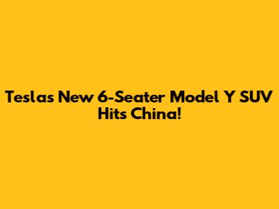 Tesla's New 6-Seater Model Y SUV Hits China!