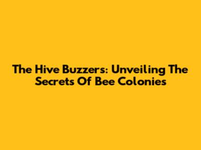 The Hive Buzzers: Unveiling The Secrets Of Bee Colonies