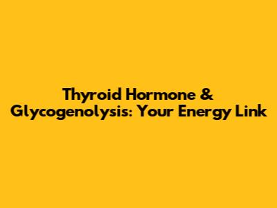 Thyroid Hormone & Glycogenolysis: Your Energy Link