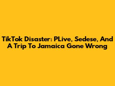TikTok Disaster: PLive, Sedese, And A Trip To Jamaica Gone Wrong