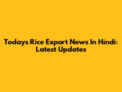 Today's Rice Export News In Hindi: Latest Updates