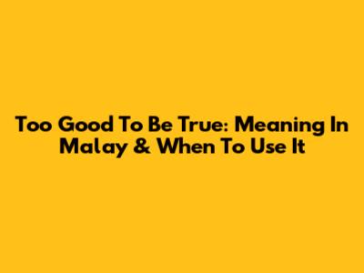 Too Good To Be True: Meaning In Malay & When To Use It