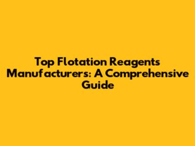 Top Flotation Reagents Manufacturers: A Comprehensive Guide
