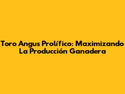 Toro Angus Prolífico: Maximizando La Producción Ganadera
