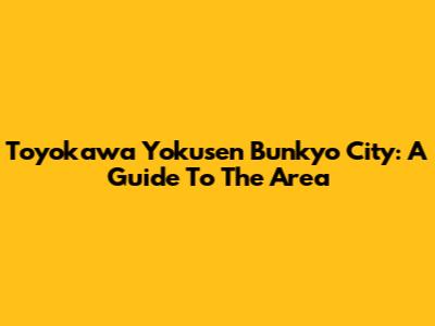 Toyokawa Yokusen Bunkyo City: A Guide To The Area