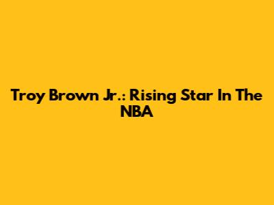 Troy Brown Jr.: Rising Star In The NBA