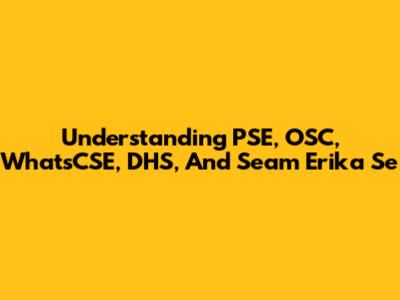 Understanding PSE, OSC, WhatsCSE, DHS, And Seam Erika Se
