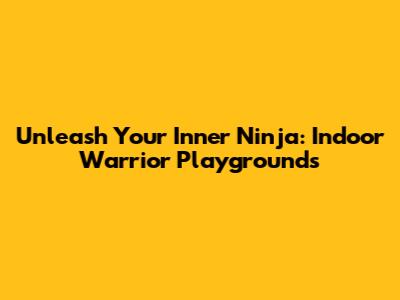 Unleash Your Inner Ninja: Indoor Warrior Playgrounds
