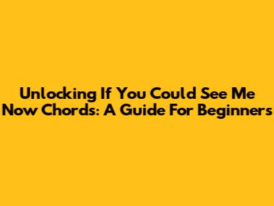 Unlocking 'If You Could See Me Now' Chords: A Guide For Beginners