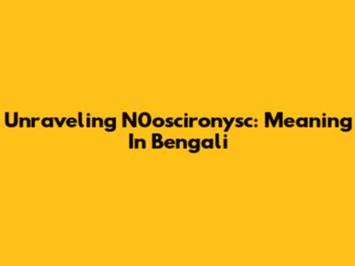 Unraveling N0oscironysc: Meaning In Bengali